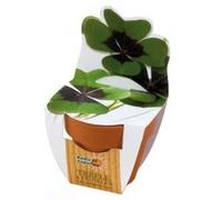 Radis et Capucine - Mini kit de culture - Trèfle 4 feuilles - 6cm