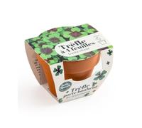 Radis et Capucine - Mini kit de culture - Trèfle 4 feuilles - 6cm