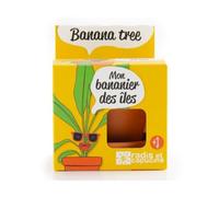 Radis et Capucine - Pot avec coupelle - Bananier - 8 cm