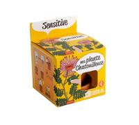 Radis et Capucine - Pot avec coupelle - Mimosa Pudica - 8 cm