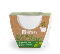 Radis et Capucine - Pot de culture en céramique - Basilic Grand vert - 8 cm