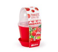 Radis et Capucine - Pot en cloche - Tomate cerise