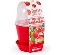 radis et capucine - pot en cloche - tomate cerise G