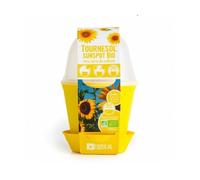 Radis et Capucine - Pot en cloche - Tournesol bio