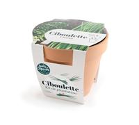 Radis et Capucine - Pot en terre cuite antique - Ciboulette bio