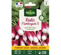 Radis Flamboyant 5 - Grand Modèle