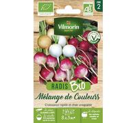 Radis Mélange de Couleurs - BIO