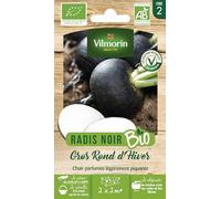 Radis Noir Gros Rond d'Hiver - BIO