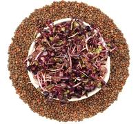 Radis rouge-violet - graines germées 250g