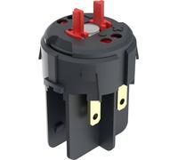 RAFI 1.20.126.704/9000 Elément de commutation 2 NF (R) 250 V 1 pc(s)