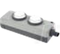 RAFI 1.24.200001 - E-BOX IO-LINK, 2 boutons-poussoirs lumineux, momentané, cache in