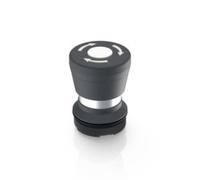 RAFI 1.30.276.001/2200 RAFIX 22 FS Bouton-poussoir coup de poing à accrochage (L x l x H) 29.8 x 29.8 x 42.1 mm 1 pc(s)