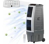 Rafraîchisseur d'air à évaporation ''lw-650'' G