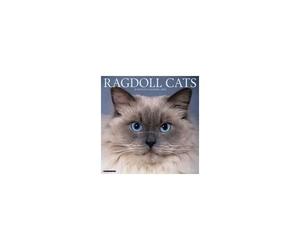 Ragdoll Cats 2026 Wall Calendar