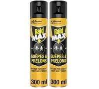Raid Max Aérosol Guêpes et Frelons - Elimine les Guêpes et Frelons Isolés - 1 Aérosol (Lot de 2)