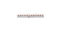 Rail de phase Hager KDN363B 1 pc(s)