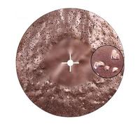 Raimondi - Disque abrasif Tungstène Double Gris 24 450 mm