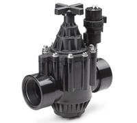 Rain Bird 100-PGA Robinet d'irrigation 1"