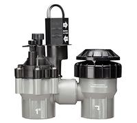 Rain Bird DASASVF075 Professional Grade Anti-Siphon Valve with Flow Control, 3/4" Threaded Female x Female