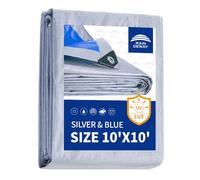 RAINDEWAY Tarps Bâche imperméable multifonction en polyéthylène avec œillets métalliques et bords renforcés, 3 x 3 m, 5,5 mm, 5,5 mm, argent/bleu