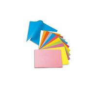 Rainex Paquet De 100 Chemises Rock?S Carte 220 Grammes Coloris Blanc