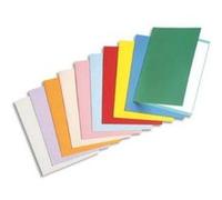 Rainex Chemise Dossier Standard, 180g/M2, Couleur Assortie,