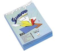 Rainex Standard 180 100 Chemises 24 x 32 cm Lilas