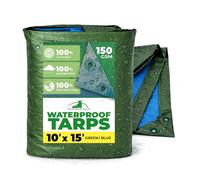 Rainexo Bâche imperméable 3 x 15 cm Multi-usages en Film stratifié croisé Multicouches idéale pour l'agriculture, Le Camping, Housse de Meubles, polyéthylène, Vert/Bleu, 3 x 4,6 m