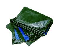 Rainexo RAINEXO Bâche de protection 150 g/m², 1,5×12 m, vert/bleu Quantité:1