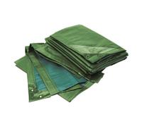 Rainexo RAINEXO Bâche de protection, 150 g/m², 2x3 m, vert/bleu Quantité:1