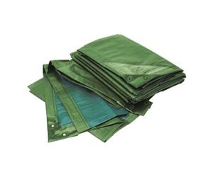 Rainexo RAINEXO Bâche de protection, 150 g/m², 2x3 m, vert/bleu Quantité:1