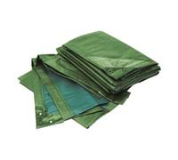 Rainexo RAINEXO Bâche de protection, 150 g/m², 8x12 m, vert/bleu Quantité:1