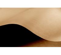 RAJA Papier kraft naturel 70 g/m² en rouleau 50 cm x 100 m - Marron