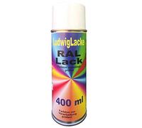 RAL 5012 Bleu Clair satiné Mat 400 ML 1 K