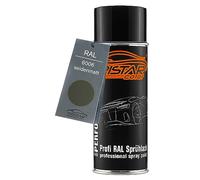 RAL 6006 Grauoliv Bombe de peinture 400 ml mat satiné séchage rapide