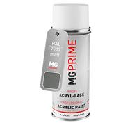RAL 7005 Gris souris / Mouse grey Bombe aérosol 400 ml mat séchage rapide