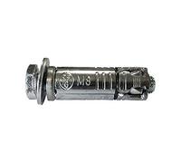 Ram - Cheville Fonte avec Vis, 8mm, Boîte de 50