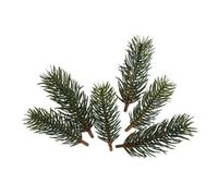 Rameaux De Sapin, 7,7cm+9,5cm, 6 Pces