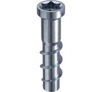 Rampa Lot de 10 manchons de type TSM M6 x 40 pour béton et maçonnerie - Manchons à visser avec entraînement à six pans creux TX50, ETA-23/0542, en acier galvanisé