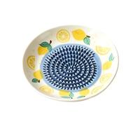 Râpe à Ail en Céramique Bol Céramique Manuel à Motif Fruit Rond
