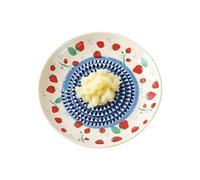 Râpe plate - Bol manuel en céramique à motif de fruits, bol râpe à ail, pour gingembre, fromage, tomate, fraise, fruits, légumes, cuisine