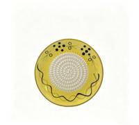 Râpe ronde en céramique pour ail, gingembre, fromage, purée de fruits et épices - 11,5 cm - Style 15