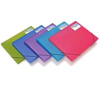 Rapesco Boîte de classement A4+ 25 mm – Couleurs vives transparentes – Lot de 5 assorti
