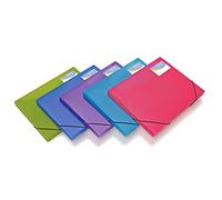Rapesco 0804 Boîte à Documents A4+, Couleurs Tranlucides Assorties, Lot de 5