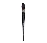Raphael Soft Aqua Brushes - Quills - Taille 6