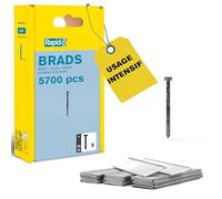 Rapid - Clous n°8/ 15mm - 5700pcs - Emballage FSC (5000520) | Fil galvanisé coupe de précison - Haute performance - Pour les travaux de finition comme les moulures, bois ou cadres