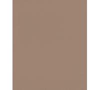 Rasch African Queen 752724 Papier peint intissé aspect cuir taupe de la collection African Queen, 10,05 m x 0,53 m (L x l)