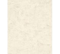 Rasch apete 499759 - Papier peint intissé Crème Gris métallisé Aspect béton Aspect vieilli de la collection Factory V