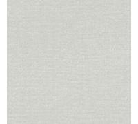Rasch Color Your Life 312133 Papier peint intissé Uni 0.53 x 10.05 m Gris