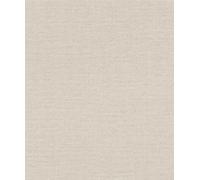 Rasch Color your life 312140 Papier peint non tissé uni Gris clair 10,05 m x 0,53 m (L x l)